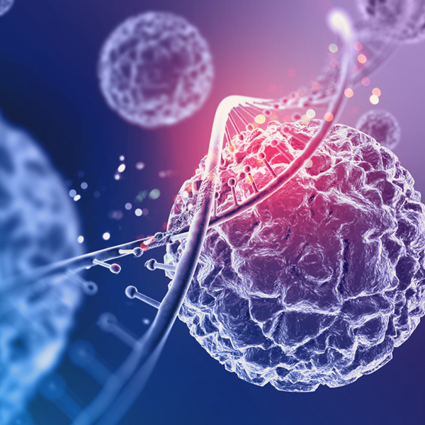 Cancer Conferences Cancer Research Conferences Oncology Conferences